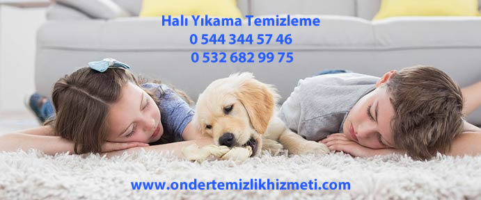 halı yıkama şirketi telefonu